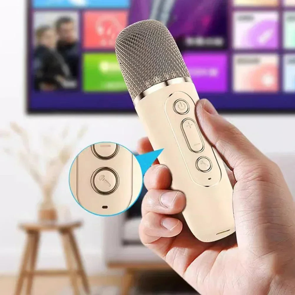 K12 Wireless Karaoke Speaker with Bluetooth & RGB Lights