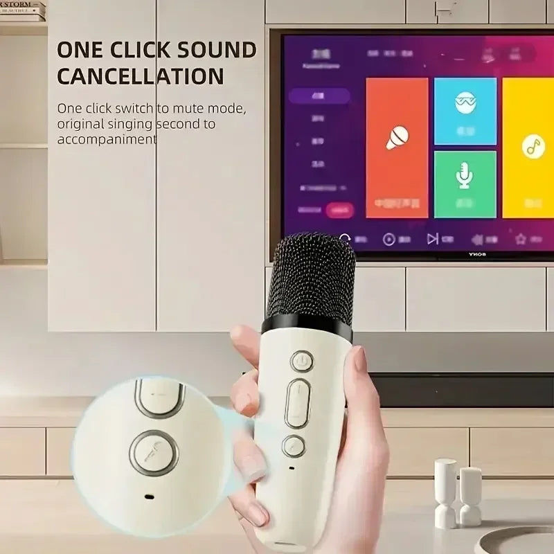 K12 Wireless Karaoke Speaker with Bluetooth & RGB Lights